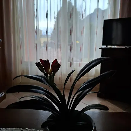 Casa Emma *