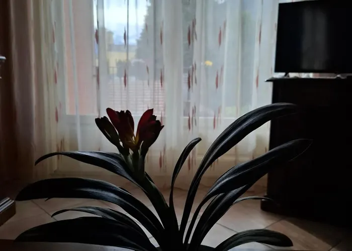 Casa Emma *